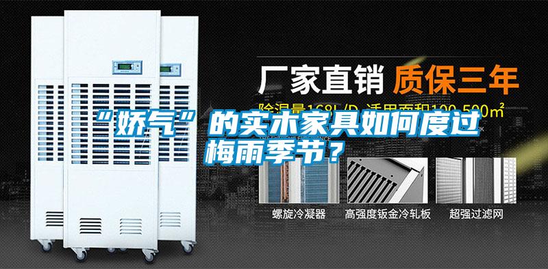 “嬌氣”的實木家具如何度過梅雨季節?