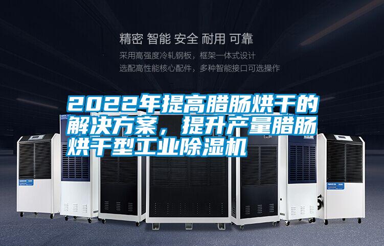 2022年提高臘腸烘干的解決方案，提升產量臘腸烘干型工業除濕機