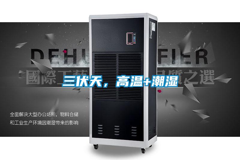 三伏天，高溫+潮濕