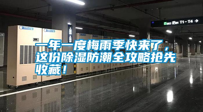 一年一度梅雨季快來了，這份除濕防潮全攻略搶先收藏！