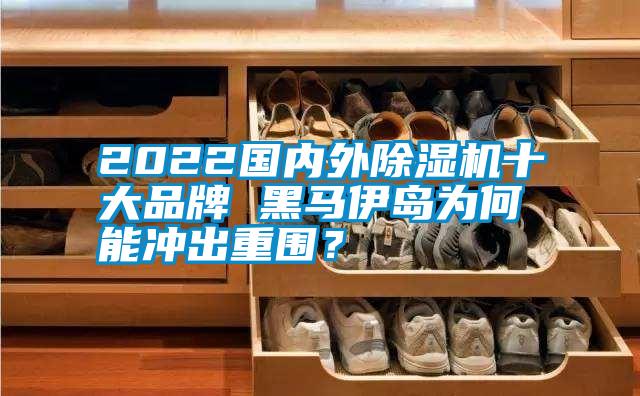 2022國內外除濕機十大品牌 黑馬伊島為何能沖出重圍？