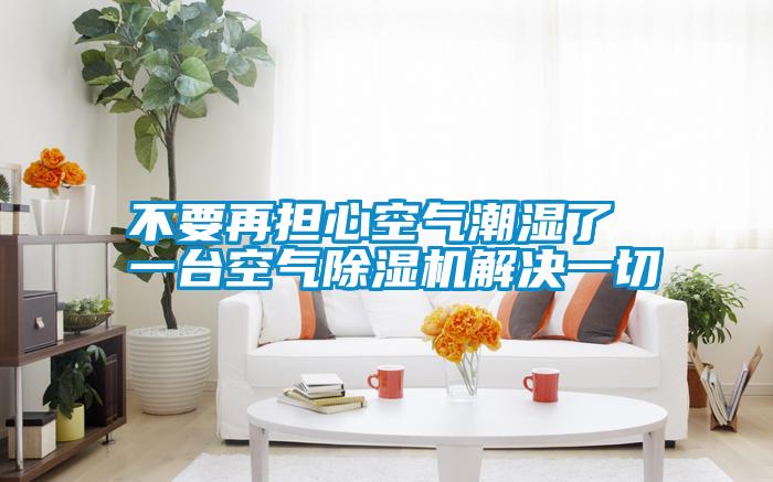 不要再擔(dān)心空氣潮濕了 一臺空氣除濕機(jī)解決一切