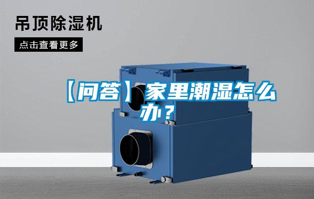 【問答】家里潮濕怎么辦？