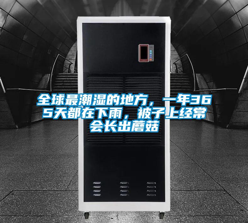 全球最潮濕的地方,一年365天都在下雨,被子上經(jīng)常會長出蘑菇