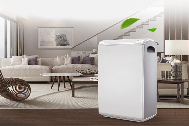 主婦分享，除濕機選購心得