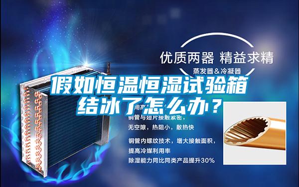 假如恒溫恒濕試驗箱結冰了怎么辦?