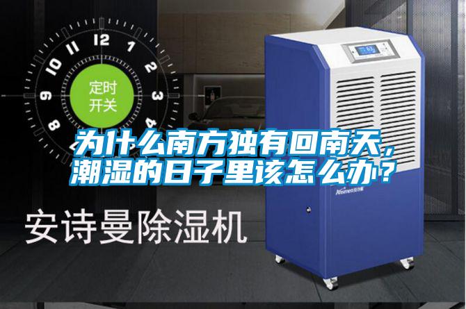 為什么南方獨有回南天，潮濕的日子里該怎么辦？