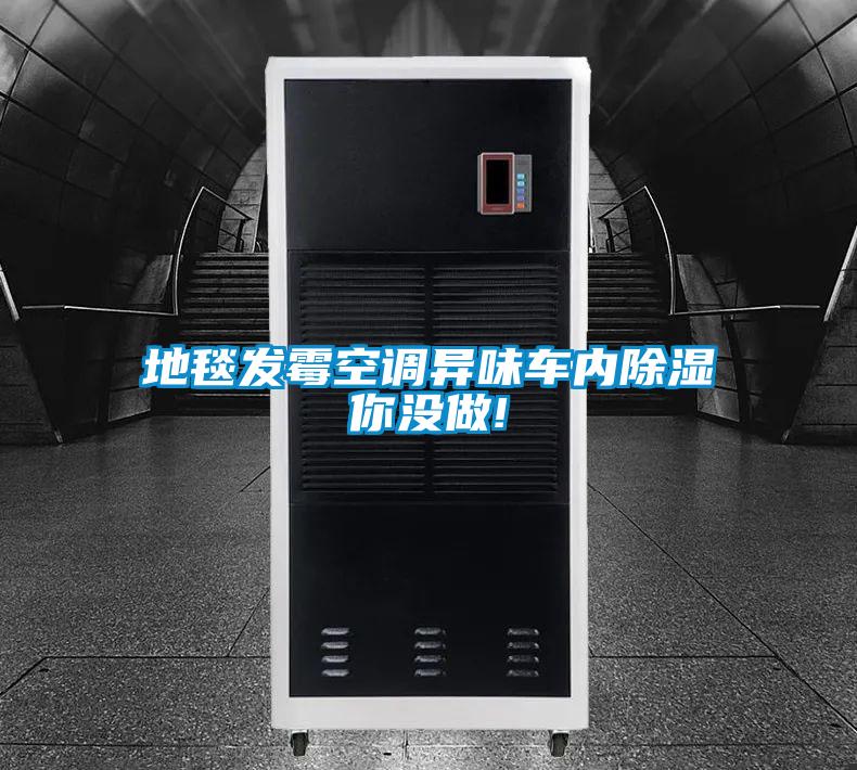 地毯發(fā)霉空調異味車內除濕你沒做!