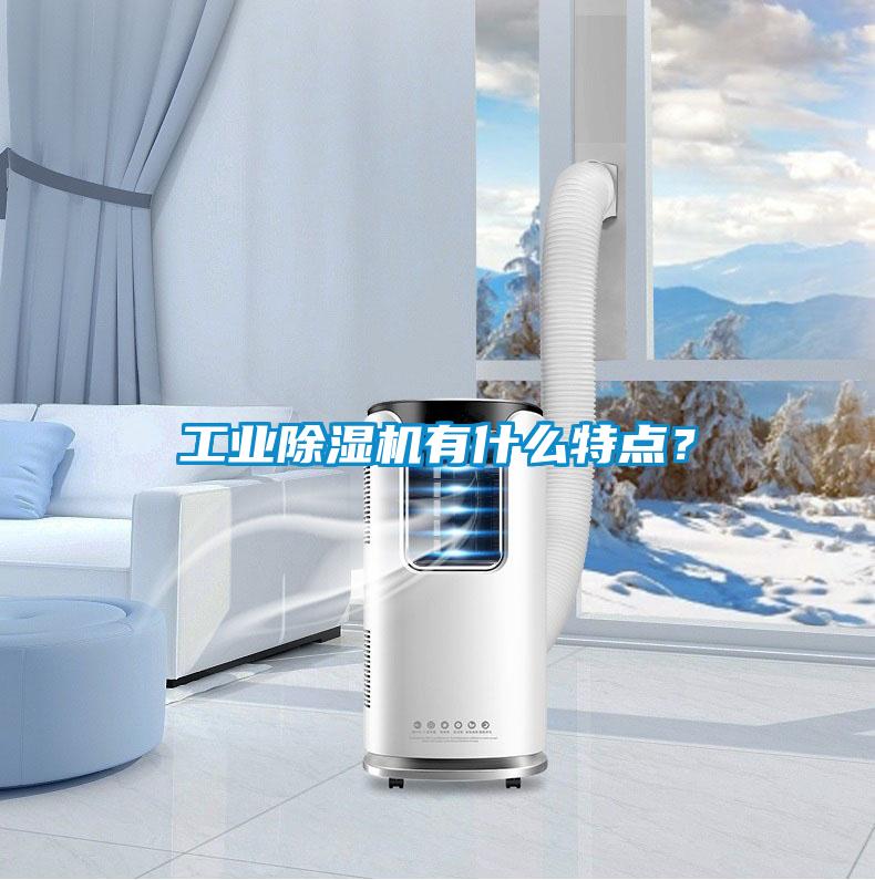 工業(yè)除濕機(jī)有什么特點(diǎn)?
