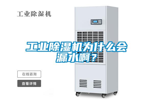 工業(yè)除濕機為什么會漏水啊？