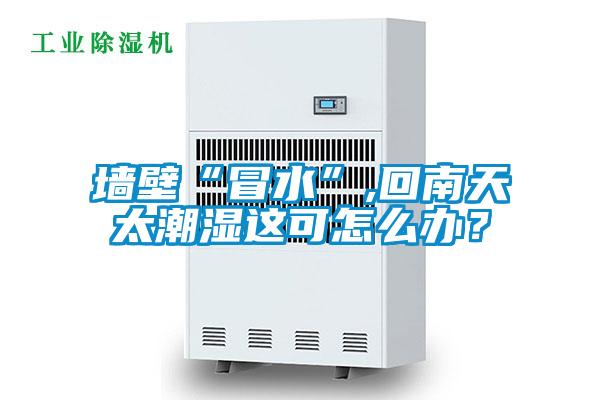 墻壁“冒水”,回南天太潮濕這可怎么辦？