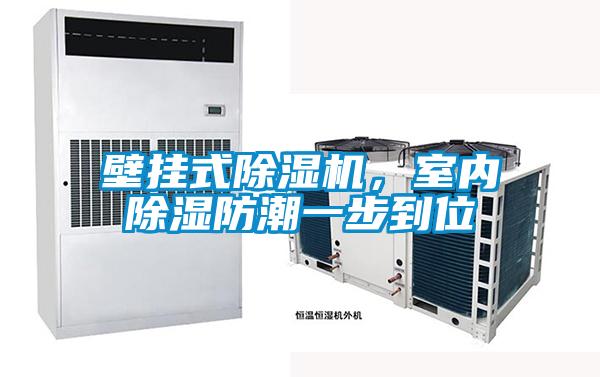 壁掛式除濕機(jī)，室內(nèi)除濕防潮一步到位