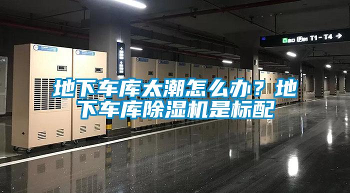 地下車庫太潮怎么辦?地下車庫除濕機是標(biāo)配