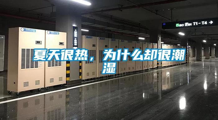 夏天很熱,為什么卻很潮濕