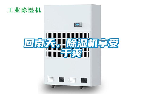 回南天，除濕機享受干爽