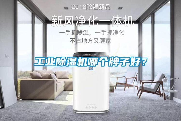 工業(yè)除濕機哪個牌子好？