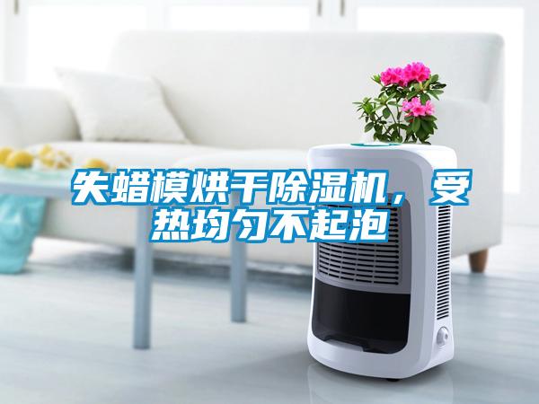 失蠟模烘干除濕機，受熱均勻不起泡