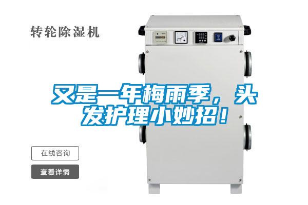 又是一年梅雨季，頭發護理小妙招！