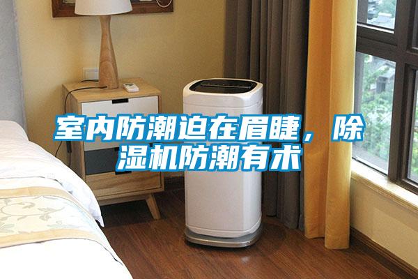 室內(nèi)防潮迫在眉睫，除濕機(jī)防潮有術(shù)