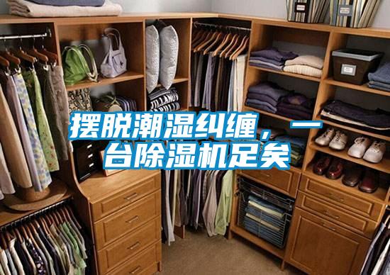 擺脫潮濕糾纏，一臺(tái)除濕機(jī)足矣