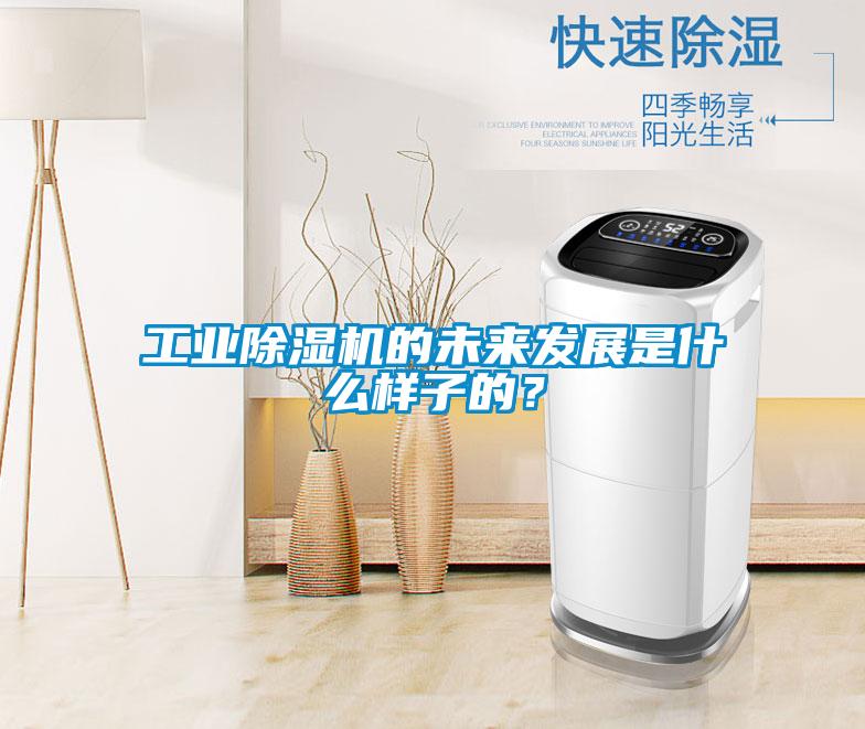 工業(yè)除濕機(jī)的未來(lái)發(fā)展是什么樣子的?