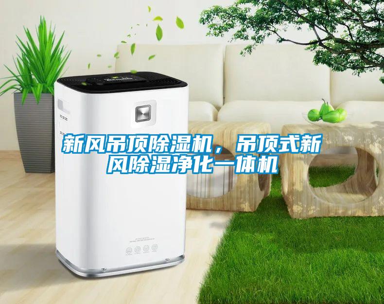 新風(fēng)吊頂除濕機，吊頂式新風(fēng)除濕凈化一體機