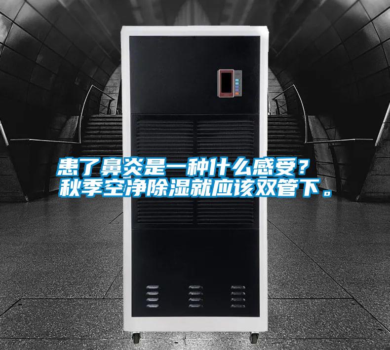 患了鼻炎是一種什么感受? 秋季空凈除濕就應(yīng)該雙管下。