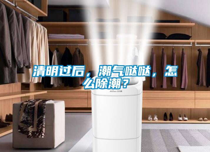 清明過后,潮氣噠噠,怎么除潮?
