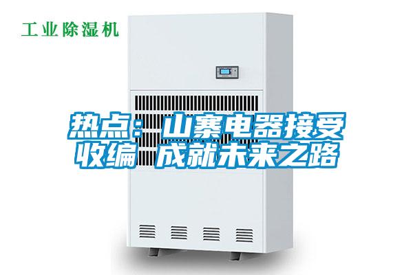 熱點:山寨電器接受收編 成就未來之路