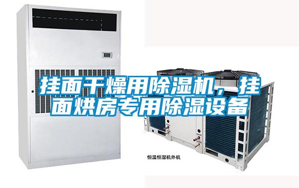 掛面干燥用除濕機(jī)，掛面烘房專用除濕設(shè)備