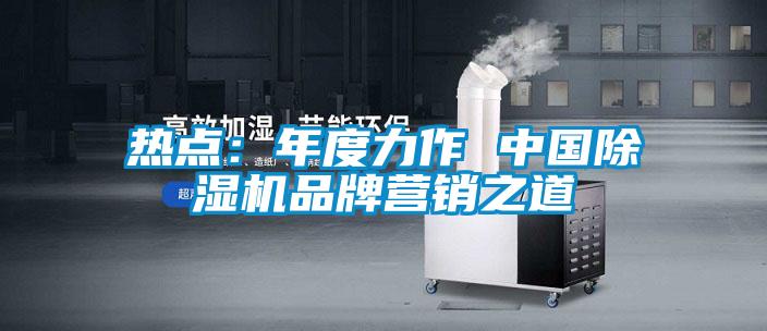 熱點：年度力作 中國除濕機(jī)品牌營銷之道