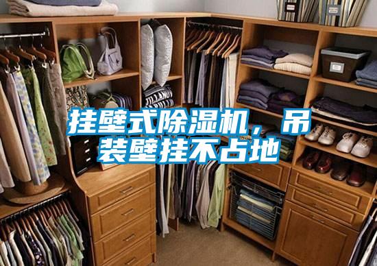 掛壁式除濕機(jī),吊裝壁掛不占地
