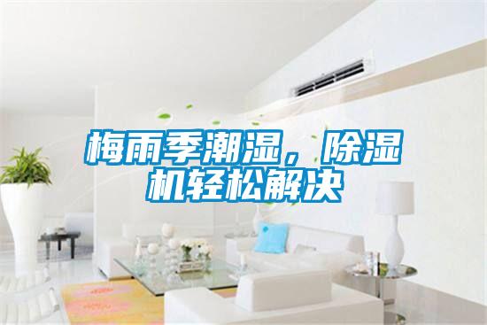 梅雨季潮濕，除濕機輕松解決