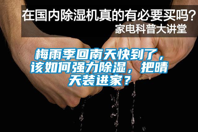 梅雨季回南天快到了，該如何強力除濕，把晴天裝進家？