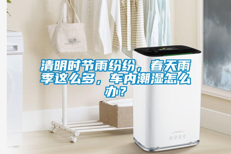 清明時節雨紛紛，春天雨季這么多，車內潮濕怎么辦？
