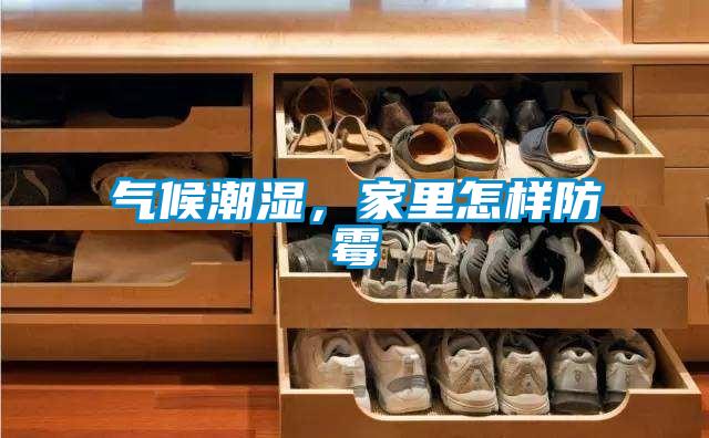 氣候潮濕，家里怎樣防霉