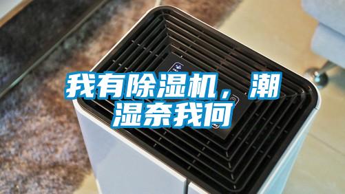 我有除濕機，潮濕奈我何