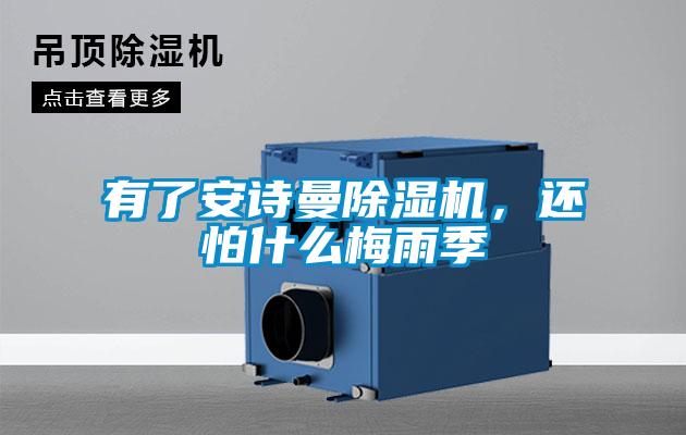 有了安詩曼除濕機，還怕什么梅雨季