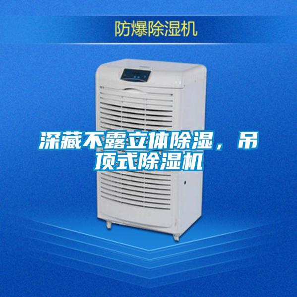 深藏不露立體除濕,吊頂式除濕機