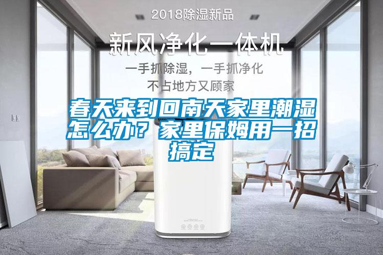 春天來到回南天家里潮濕怎么辦？家里保姆用一招搞定