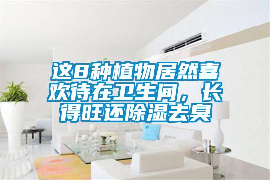 這8種植物居然喜歡待在衛生間，長得旺還除濕去臭