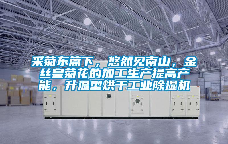 采菊東籬下，悠然見南山，金絲皇菊花的加工生產(chǎn)提高產(chǎn)能，升溫型烘干工業(yè)除濕機(jī)