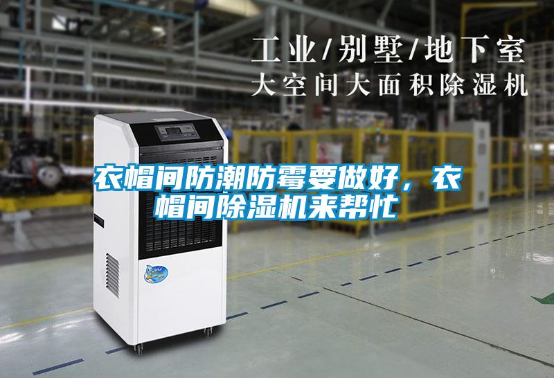 衣帽間防潮防霉要做好，衣帽間除濕機來幫忙