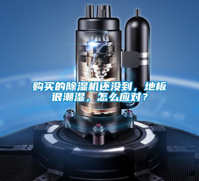 購(gòu)買(mǎi)的除濕機(jī)還沒(méi)到，地板很潮濕，怎么應(yīng)對(duì)？