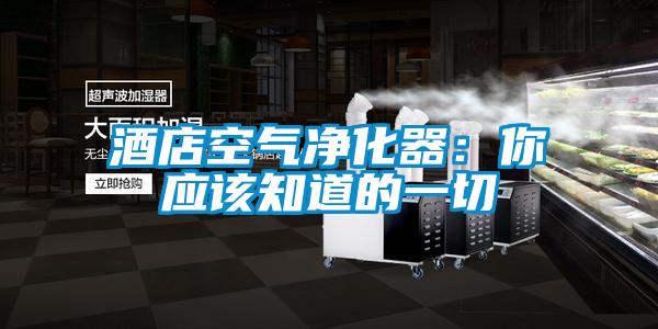 酒店空氣凈化器:你應(yīng)該知道的一切