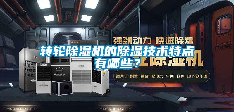 轉(zhuǎn)輪除濕機的除濕技術特點有哪些?