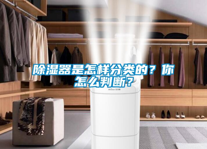 除濕器是怎樣分類的？你怎么判斷？