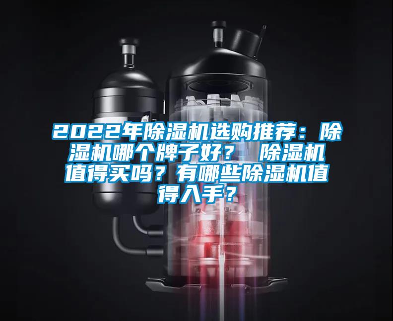 2022年除濕機選購推薦:除濕機哪個牌子好? 除濕機值得買嗎?有哪些除濕機值得入手?