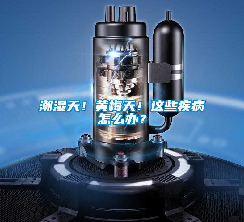 潮濕天！黃梅天！這些疾病怎么辦？