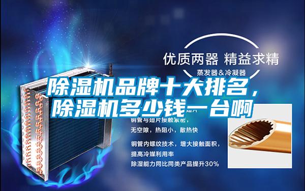 除濕機品牌十大排名,除濕機多少錢一臺啊